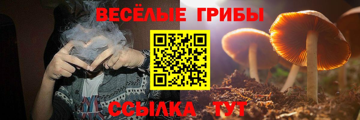 Галлюциногенные грибы мицелий Луховицы