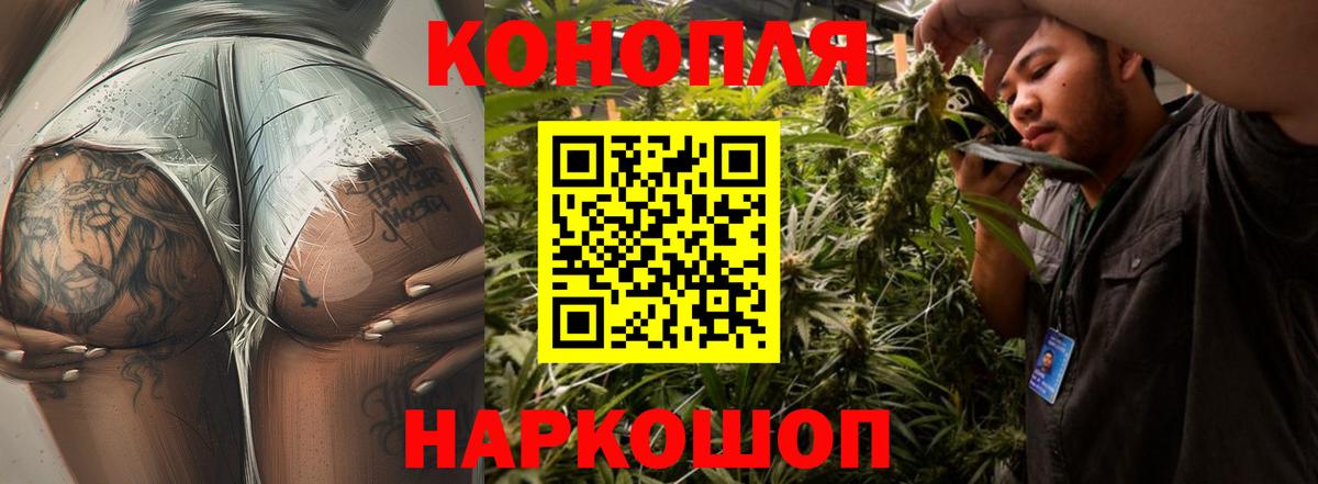 Шишки марихуана планчик  Шишки марихуана семена  Конопля Bruce Banner  Луховицы  Вход с VPN 